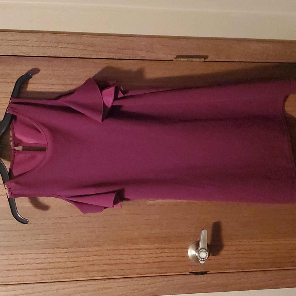 Size M Burgundy Dress - Picture 1 of 3